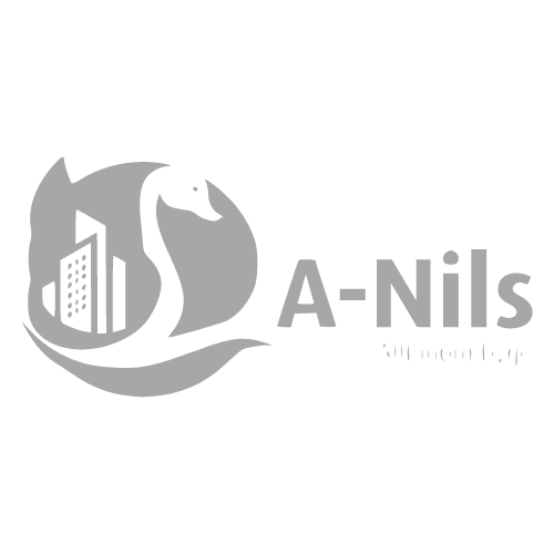 a-nils_logo